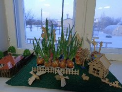 "Огород на окошке".